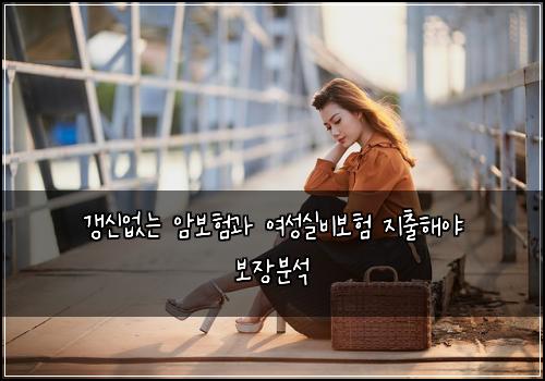 갱신없는 암보험과 여성실비보험 지출해야 보장분석