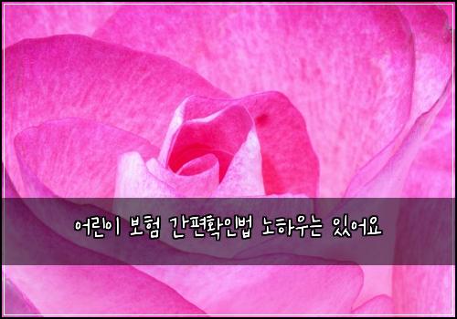 어린이 보험 간편확인법  노하우는 있어요