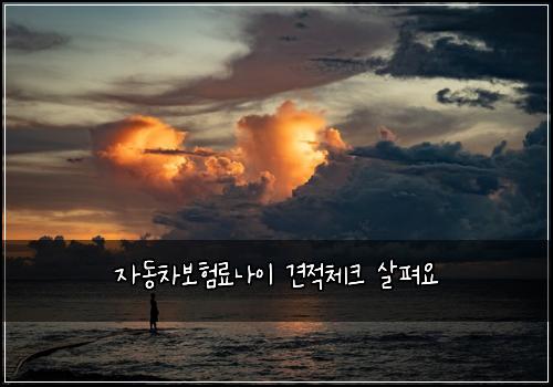 자동차보험료나이 견적체크 살펴요