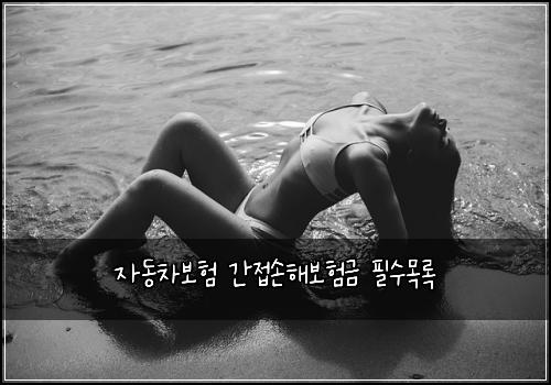 자동차보험 간접손해보험금 필수목록