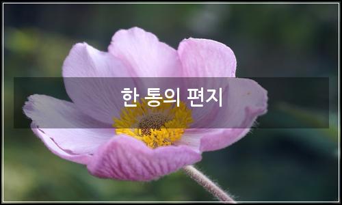 오늘의 이미지