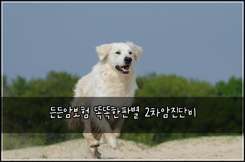 든든암보험 똑똑한판별  2차암진단비