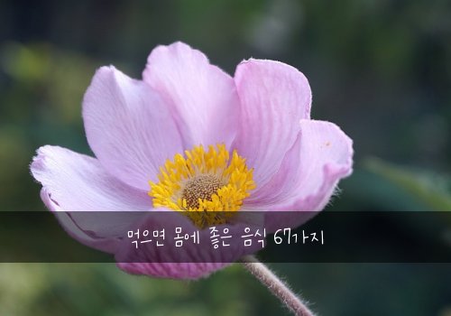 먹으면 몸에 좋은 음식 67가지
