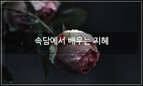 오늘의 이미지