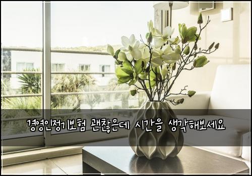 경영인정기보험 괜찮은데  시간을 생각해보세요