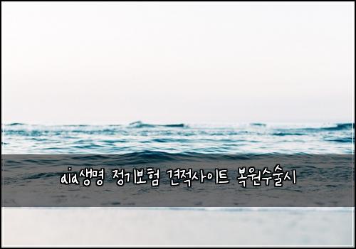 aia생명 정기보험 견적사이트  복원수술시