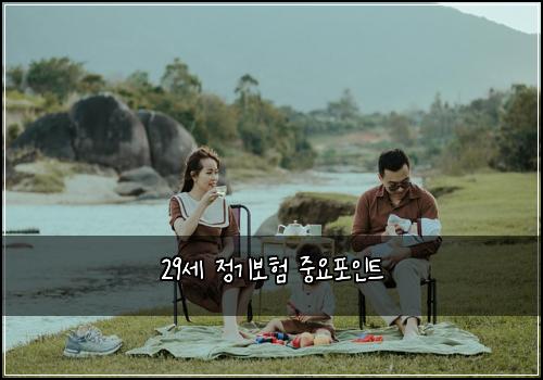 29세 정기보험 중요포인트 