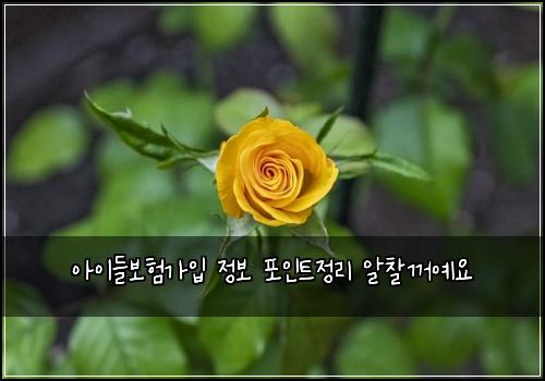 아이들보험가입 정보 포인트정리 알찰꺼예요