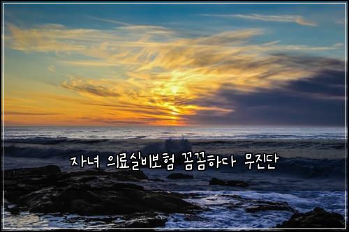 자녀 의료실비보험 꼼꼼하다  무진단
