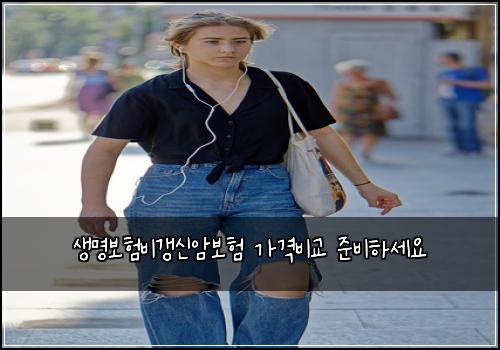 ์๋ช
๋ณดํ๋น๊ฐฑ์ ์๋ณดํ ๊ฐ๊ฒฉ๋น๊ต ์ค๋นํ์ธ์