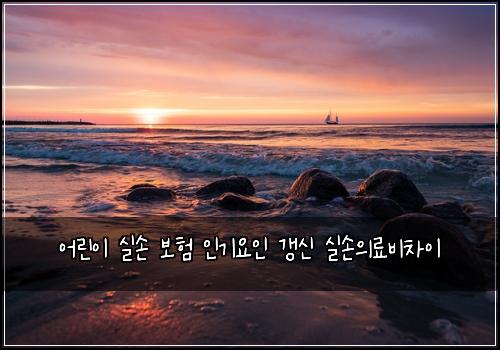 어린이 실손 보험 인기요인  갱신 실손의료비차이