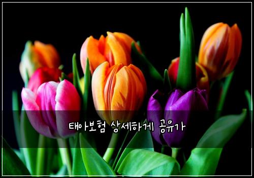 태아보험 상세하게  공유가