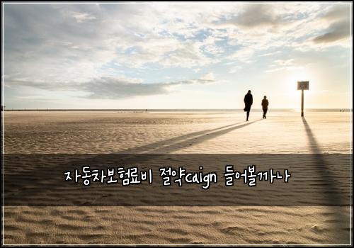 ์๋์ฐจ๋ณดํ๋ฃ๋น ์ ์ฝcaign ๋ค์ด๋ณผ๊น๋