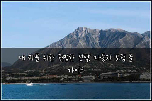  내 차를 위한 현명한 선택: 자동차 보험 올 가이드