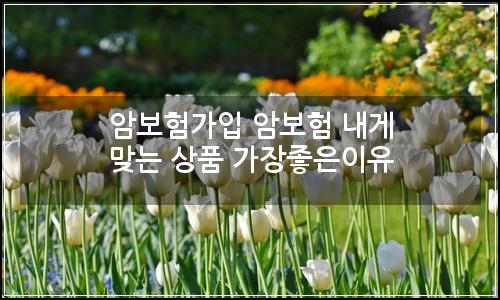 오늘의 이미지