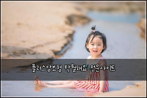플러스암보험 탁월해요  전문사이트