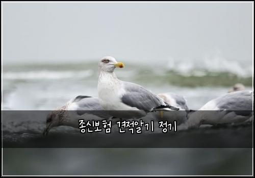 종신보험 견적알기  정기