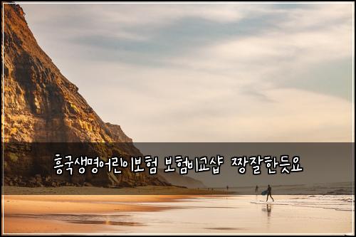 흥국생명어린이보험 보험비교샵 짱잘한듯요