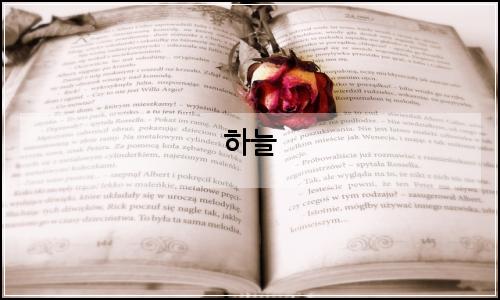 오늘의 이미지