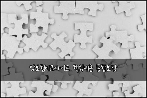 암보험비교사이트 핵심내용 통합보장