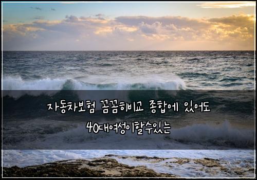 자동차보험 꼼꼼히비교  종합에 있어도 40대여성이할수있는