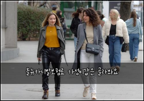 올뉴카니발보험료 가성비갑은 골라봐요