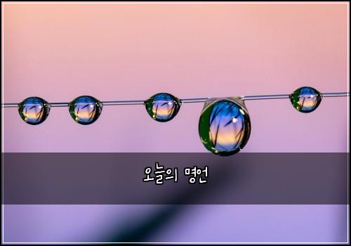 오늘의 명언