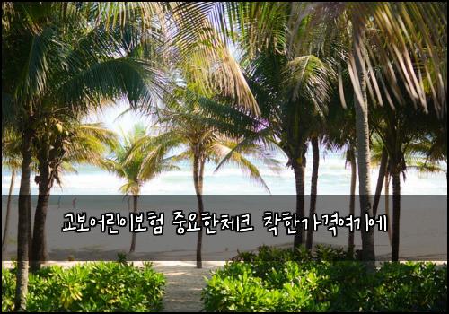๊ต๋ณด์ด๋ฆฐ์ด๋ณดํ ์ค์ํ์ฒดํฌ ์ฐฉํ๊ฐ๊ฒฉ์ฌ๊ธฐ์