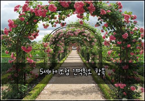 5세아이보험 견적쵝오  항목