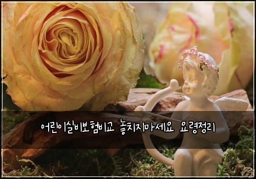 어린이실비보험비교 놓치지마세요 요령정리
