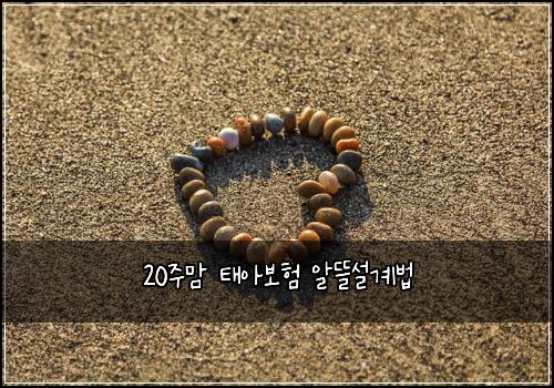 20주맘 태아보험 알뜰설계법 
