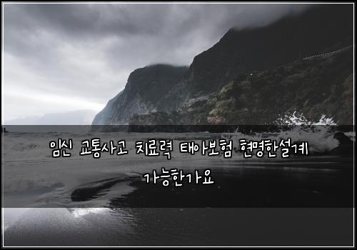 임신 교통사고 치료력 태아보험 현명한설계  가능한가요