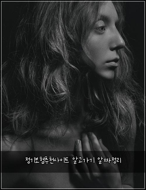 정기보험추천사이트 알고가기 알짜정리
