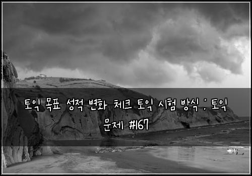 토익 목표 성적 변화 체크 토익 시험 방식 : 토익 문제 #167