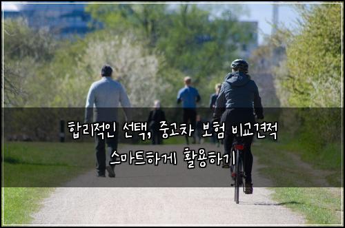  합리적인 선택, 중고차 보험 비교견적 스마트하게 활용하기