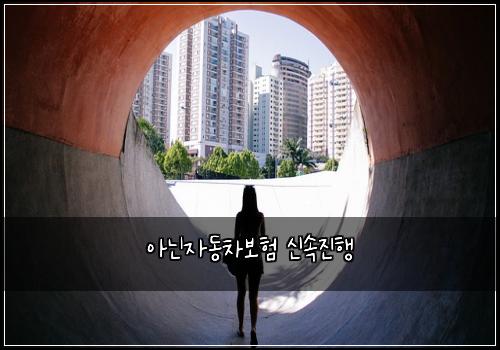 아닌자동차보험 신속진행 