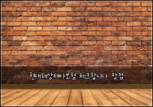 현대해상태아보험 체크합니다  장점