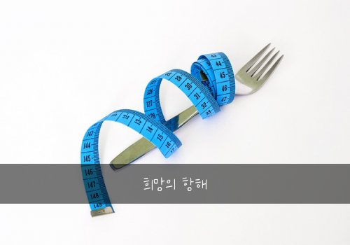 희망의 항해