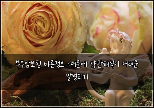 부부암보험 바른정보  때문에 약관해석이 어려운 발병되기