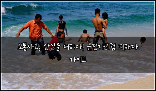 교통사고, 안심을 더하다! 운전자보험 피해자 가이드