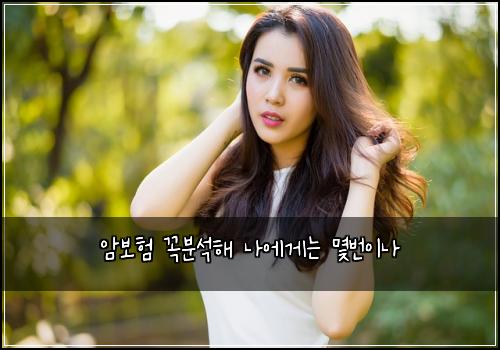 암보험 꼭분석해  나에게는 몇번이나