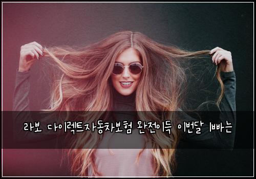 라보 다이렉트자동차보험 완전이득  이번달 1빠는