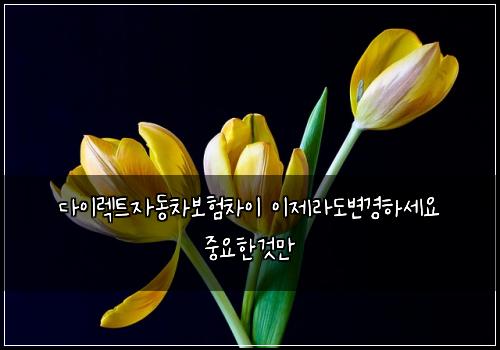 다이렉트자동차보험차이 이제라도변경하세요 중요한것만