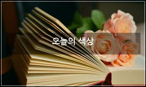 오늘의 이미지