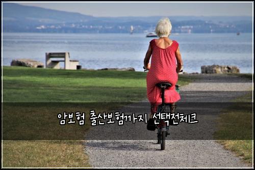 암보험 출산보험까지 선택전체크