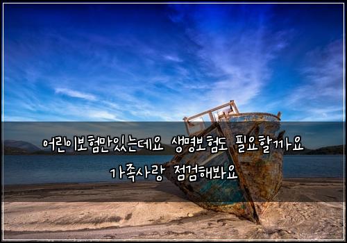 어린이보험만있는데요 생명보험도 필요할까요 가족사랑 점검해봐요