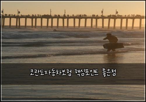 ์ฝ๋๋์๋์ฐจ๋ณดํ ํต์ฌํฌ์ธํธ ์ข์์ 