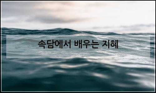 오늘의 이미지