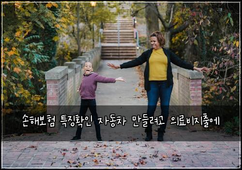손해보험 특징확인  자동차 만들려고 의료비지출에
