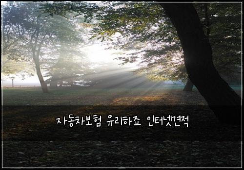 μλ차보ν μ 리νμ£ μΈν°λ·κ²¬μ 
